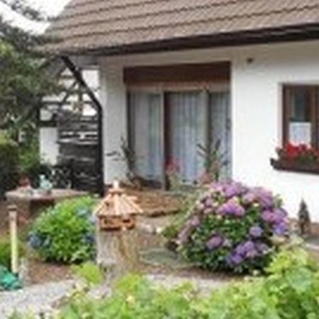 Pension Haus Monika Sasbachwalden Exterior photo